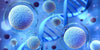 Understanding Cellular Health and the Ageing Process