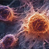 What are Senescent Cells? Aging impacts & Cellular Complexes Solutions